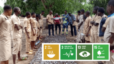 Moringa Project in Massi Secondary school -Benin