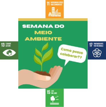 Plant a Tree and Secure the Future – World Environment Day #Brazil