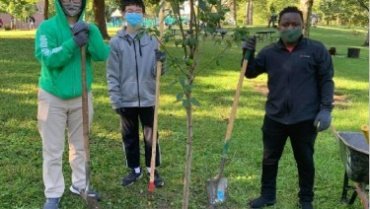 Tree Planting Volunteer Work, Indiana #USA