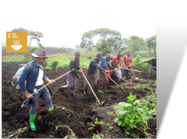 Peace Project Fighting Against Food Insecurity #DR Congo