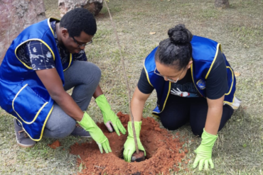 Tree-planting activity #Brazil