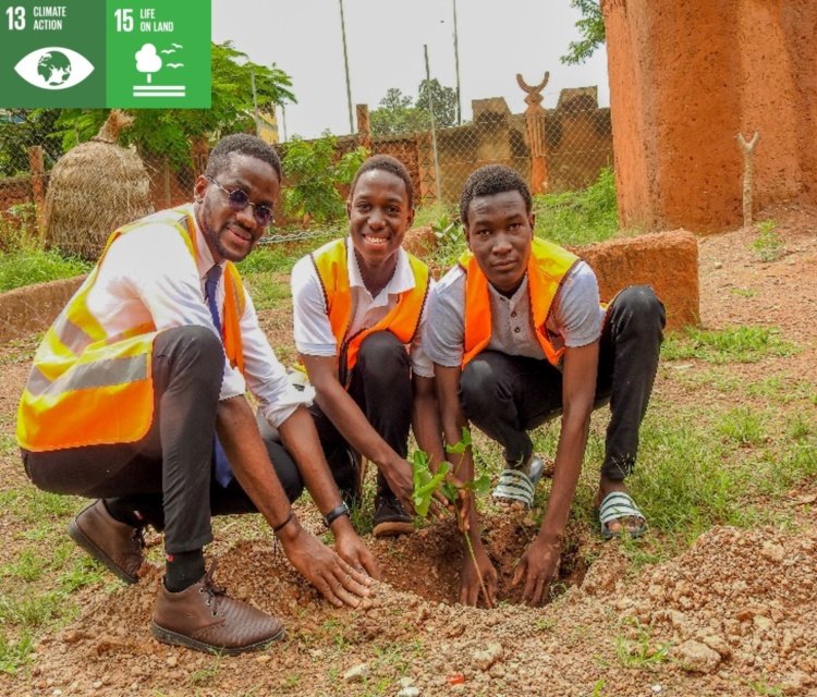 Great Green Wall #IAYSP Burkina Faso
